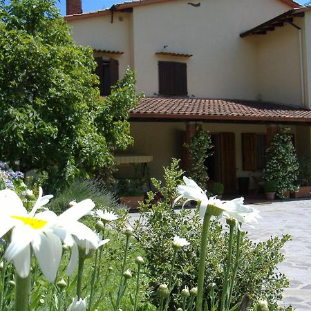 Da Ronald ... A Pian Del Papa Guest House Pratovecchio Exterior foto
