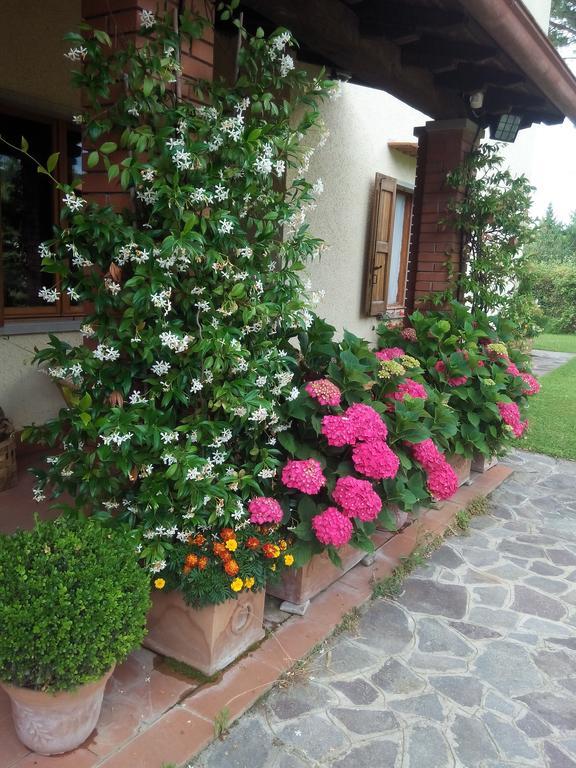 Da Ronald ... A Pian Del Papa Guest House Pratovecchio Exterior foto